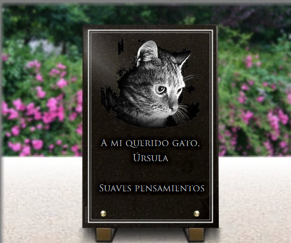 PLACA FUNERARIA granito Placa vertical . 30 x 20 cm.