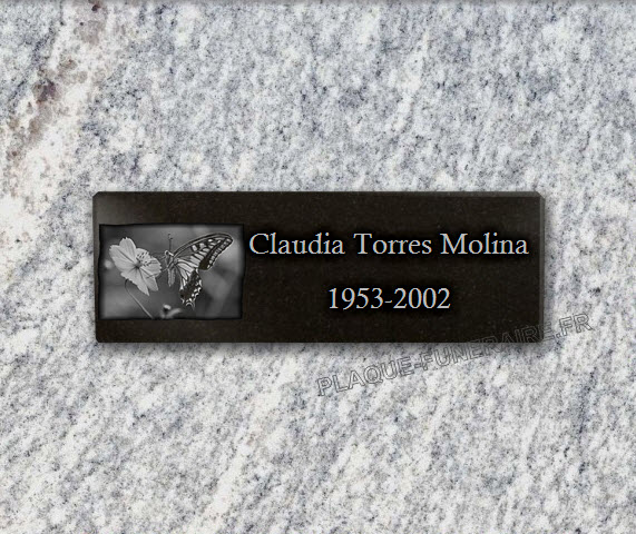 PLACA FUNERARIA granito adhesiva . 10 x 30 cm.