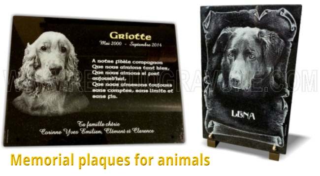 Pet memorial plaque, engraved granite.