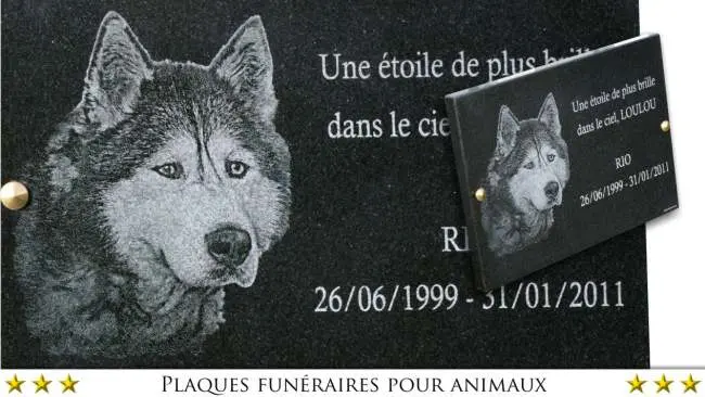 Plaque mortuaire photogravure de chien