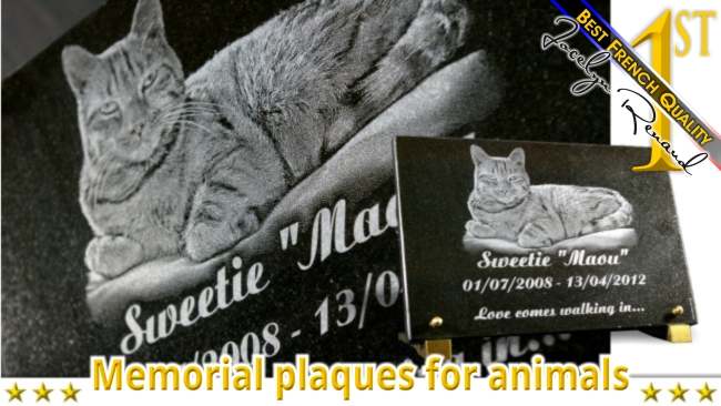 Cat and pet memorial plaque to customize