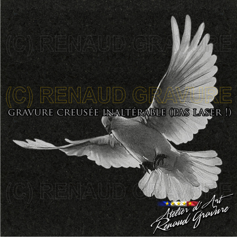 motif colombe pour personnaliser votre plaque funéraire coeur