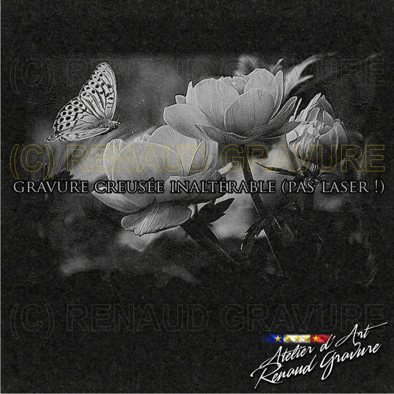 motif papillon pour personnaliser votre plaque mortuaire haut de gamme