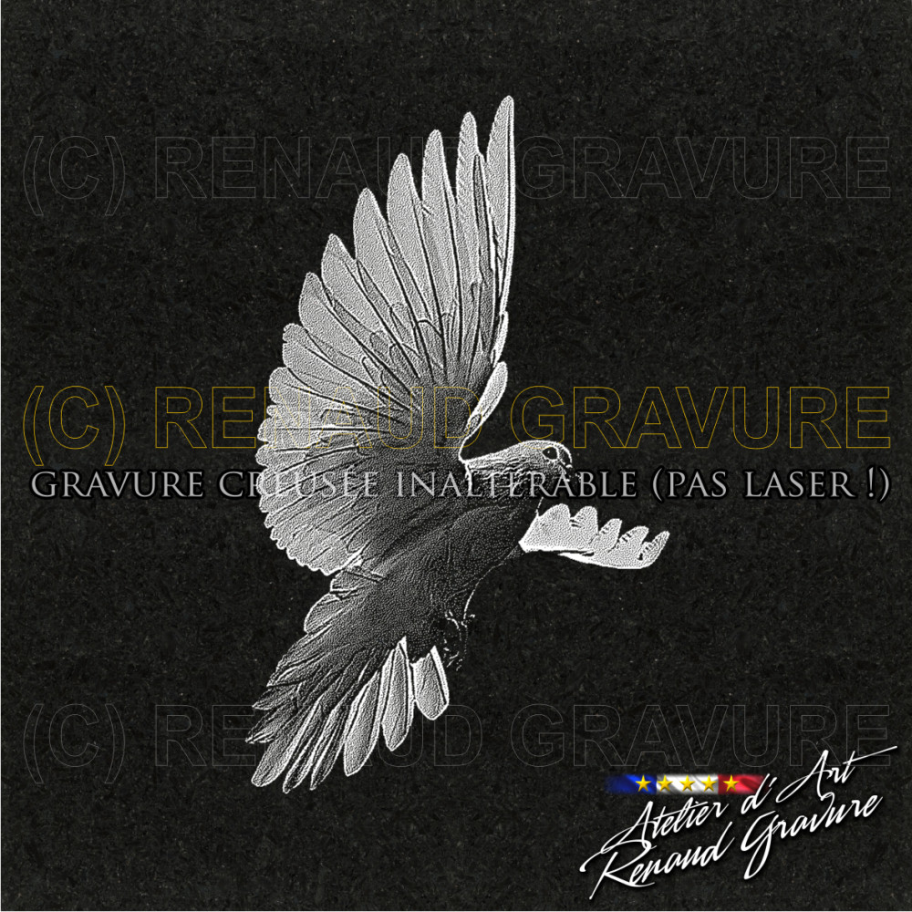 motif colombe pour personnaliser votre plaque funéraire