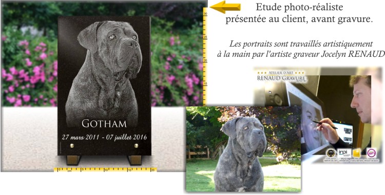 Etude Plaque funéraire pour Chien