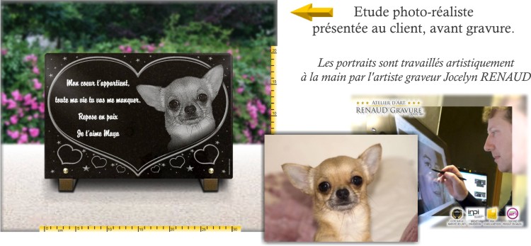 Dessin Plaque funéraire personnalisée Chiwawa chien