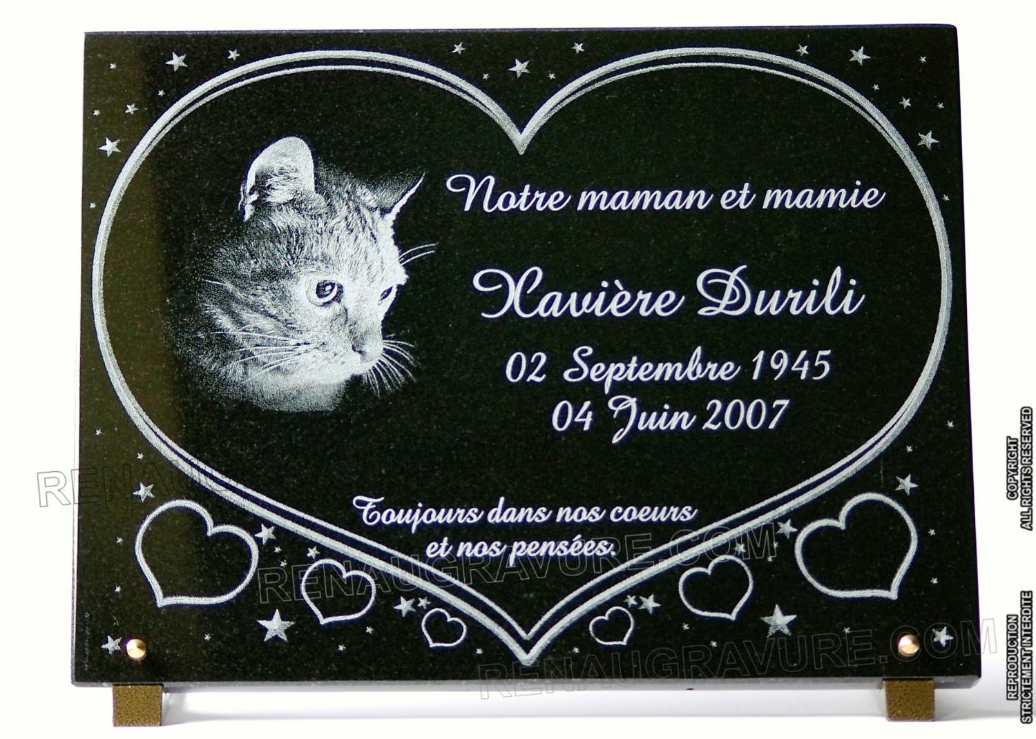 Plaque fun raire avec coeurs chat et toiles 