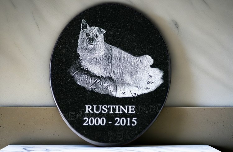 Plaque tombale pour chien