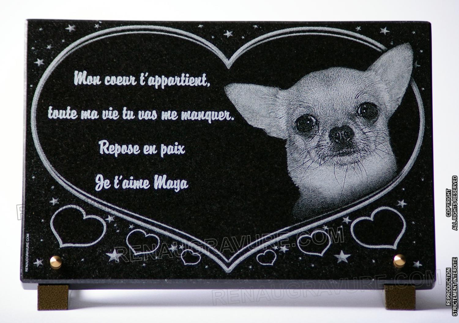 Coeur sur plaque funéraire avec photo de chien
