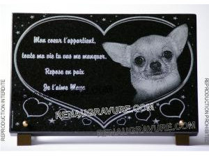 Plaque funéraire personnalisée photo Chiwawa chien