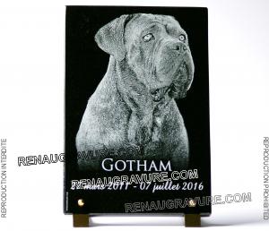 plaque granit avec photo chien