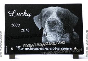 Plaque funéraire chien épagneul breton. En granit.