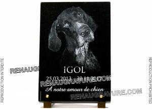 Photo plaque de tombe de chien