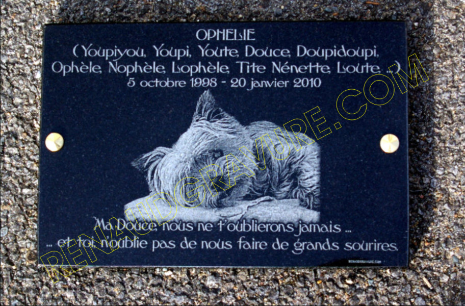 Funeral plaque with Yorkshire dog