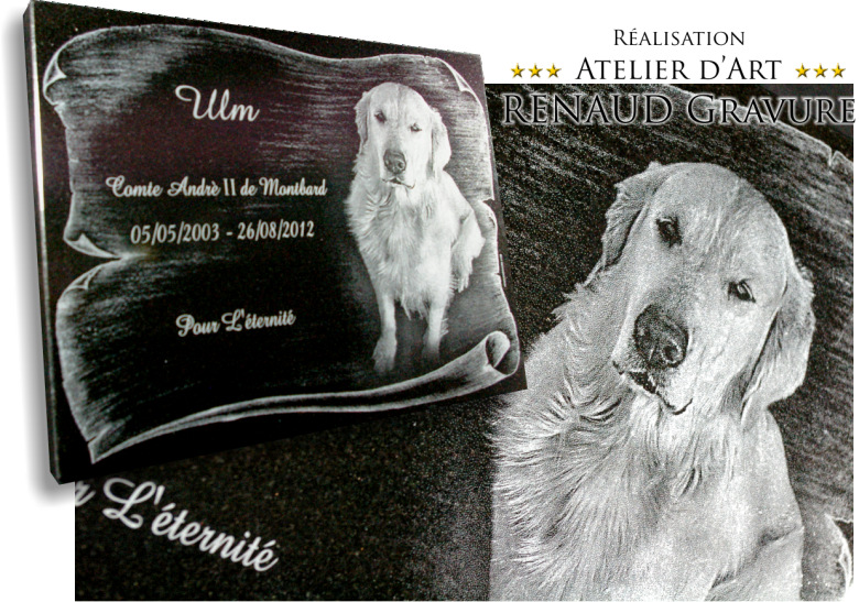 Plaque tombale pour chien