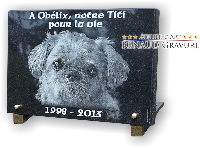 Plaque tombe de chien