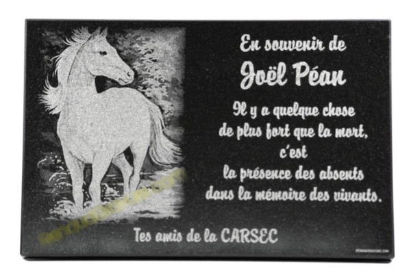 Granite memorial plaque in the shape of a book with a white horse.