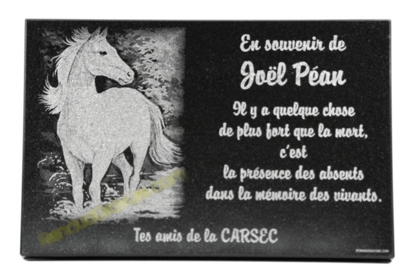 Plaque mortuaire cheval blanc